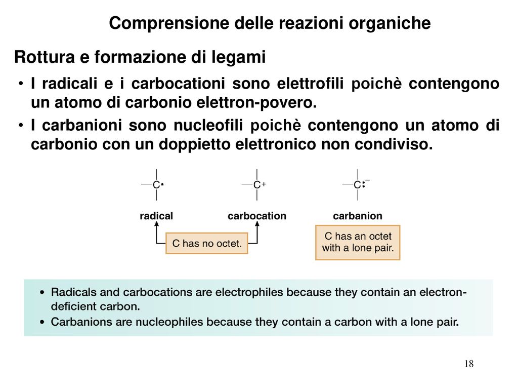 Chapter Lecture Outline Ppt Scaricare